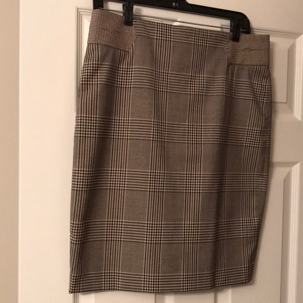 The Limited skirt